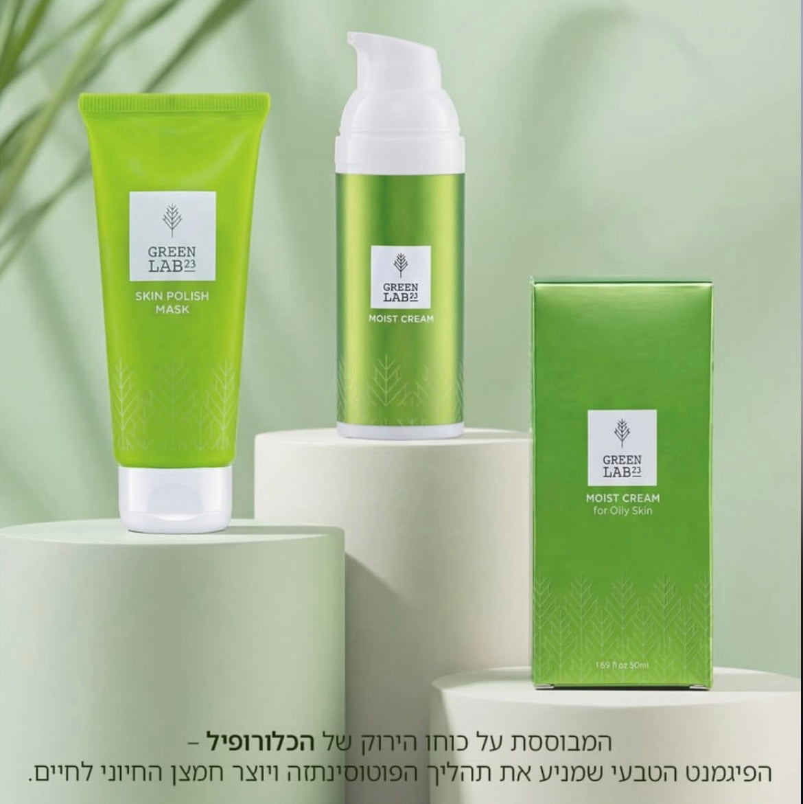 הסדרה הירוקה